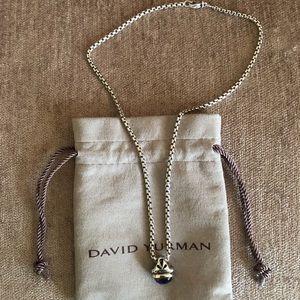 David Yurman Amethyst Acorn Neclace